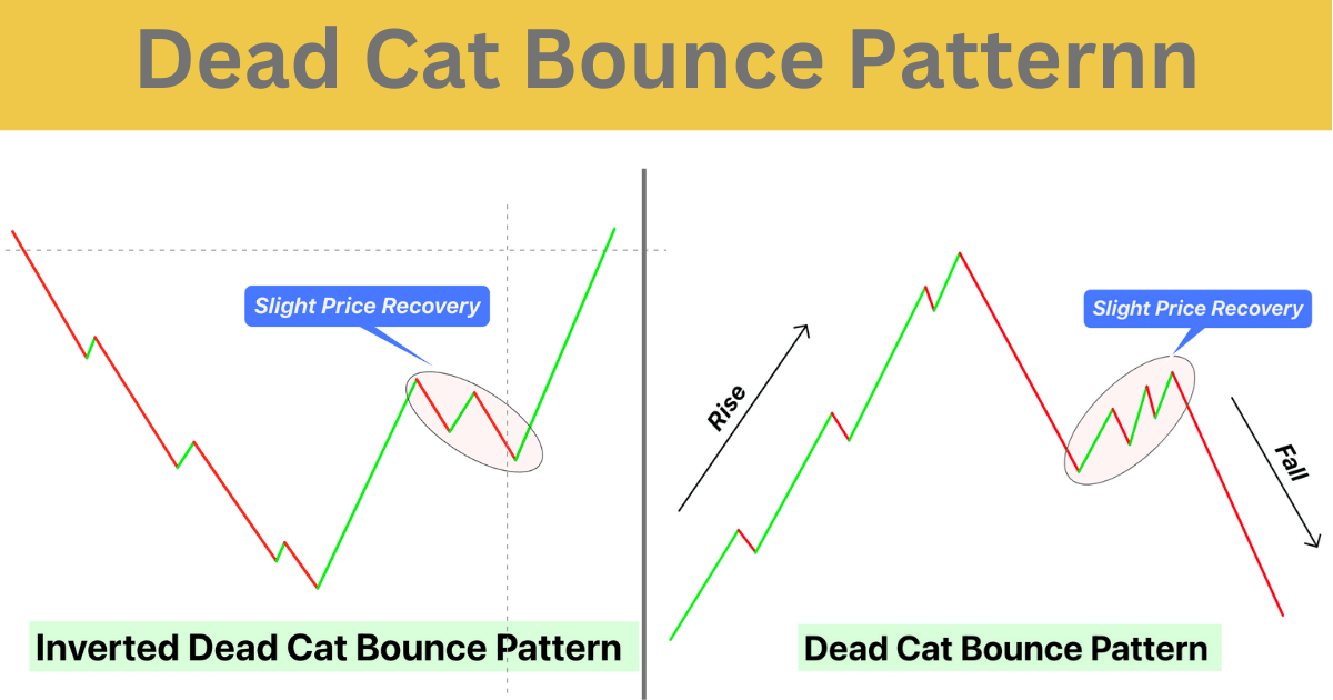 dead-cat-bounce-pattern-1