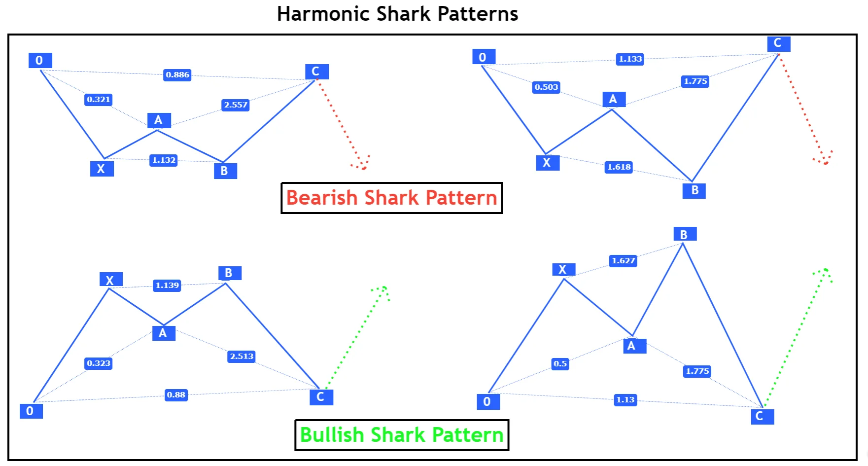 shark-harmonic-Patterns